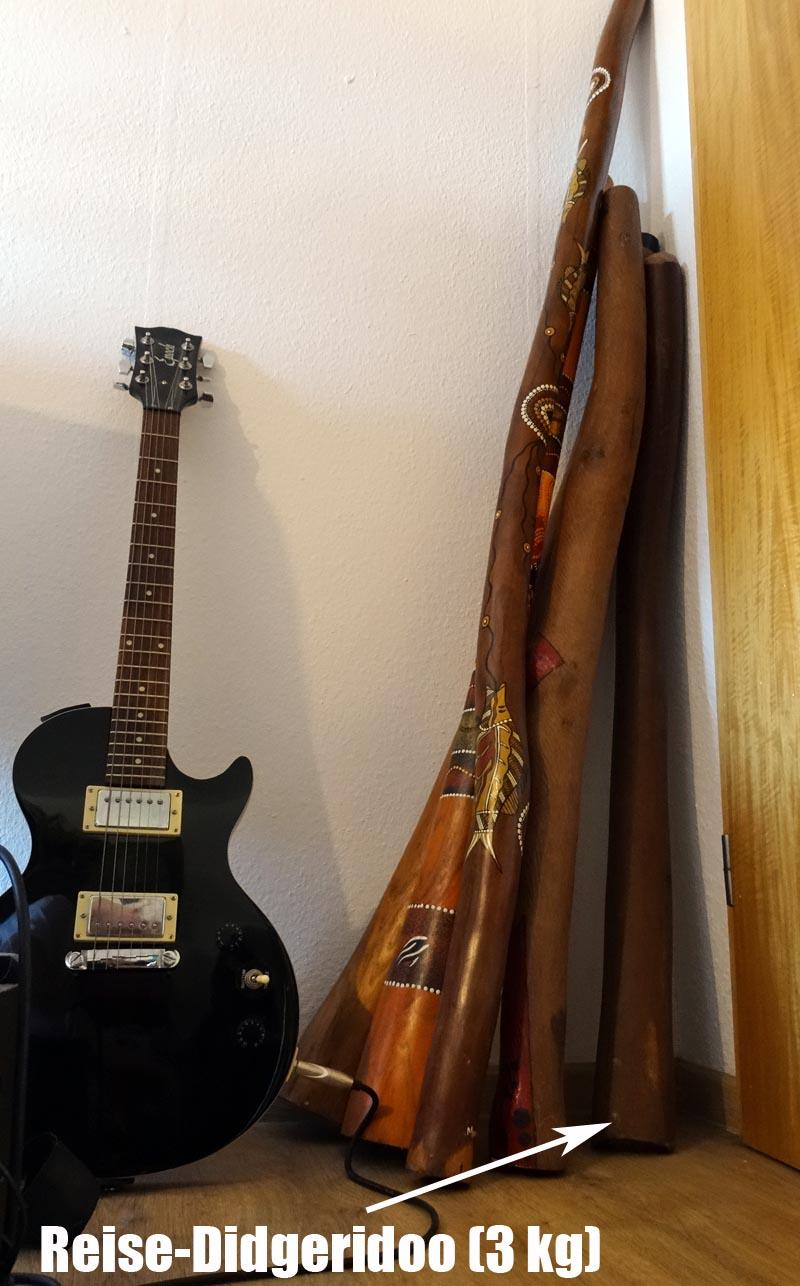didgeridoo sammlung