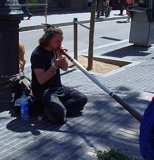 didgeridoo