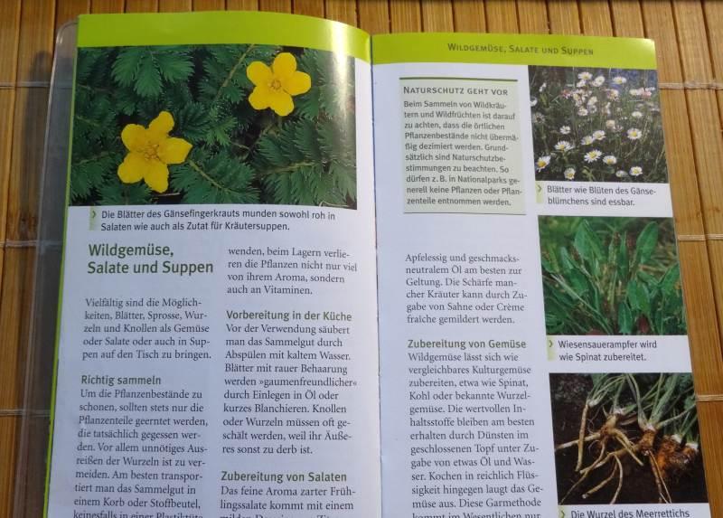 wildkräuter buch gu